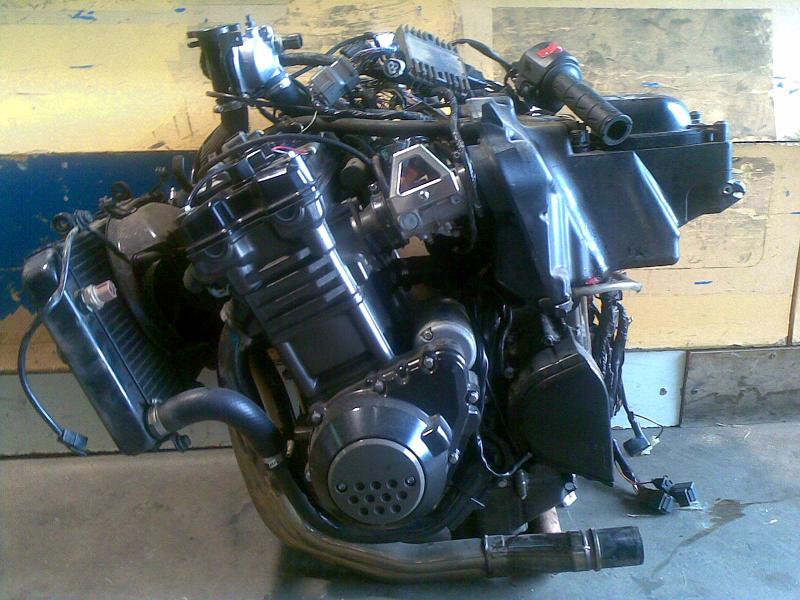 buggy motor